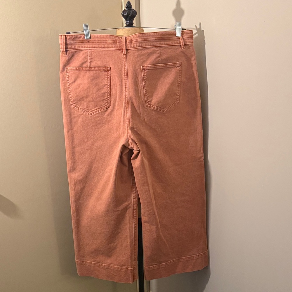 Ann Taylor Terracotta Wide Leg Pants - Picture 5 of 6